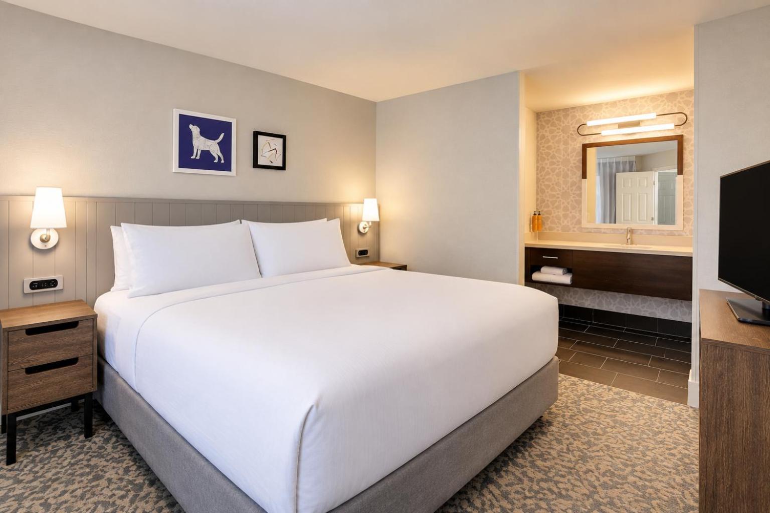 One-Bedroom King Suite