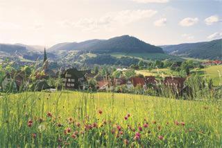 Tweepersoonskamer - Hirschkopf A