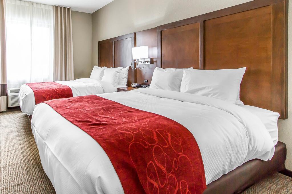 Queen Suite with Sofa Bed - Non-Smoking