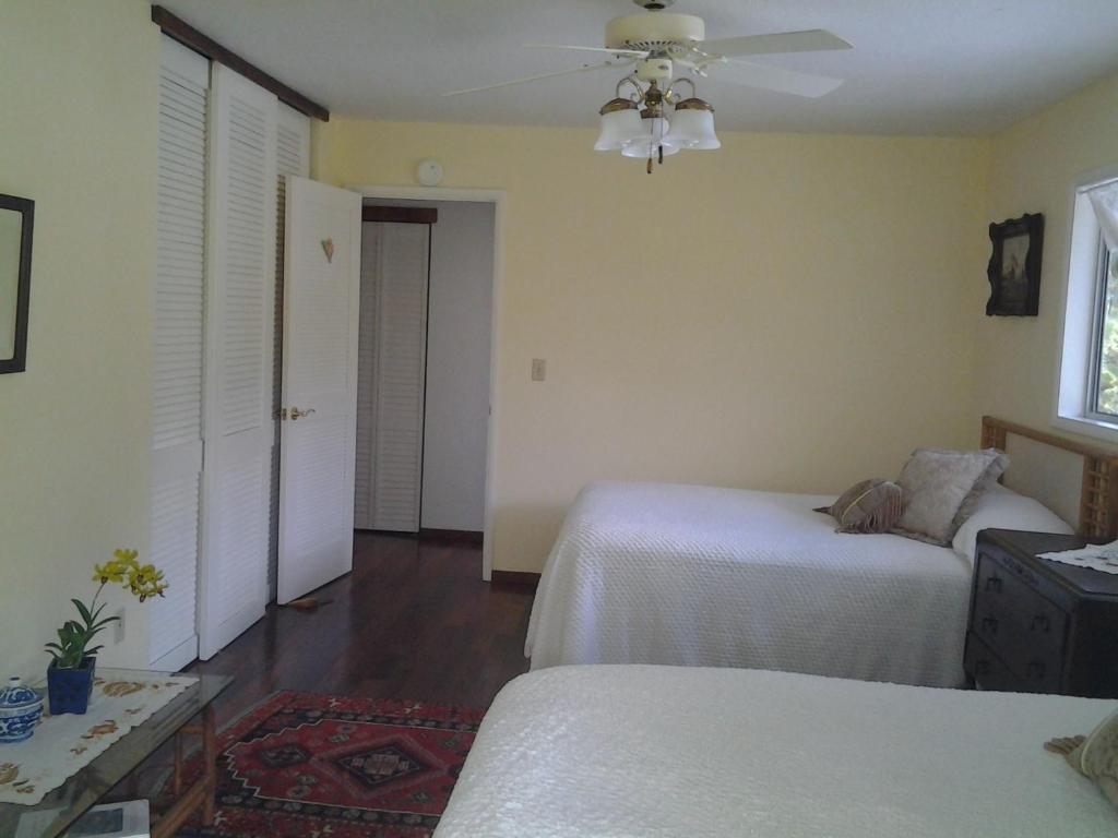 Double Room with Two Double Beds