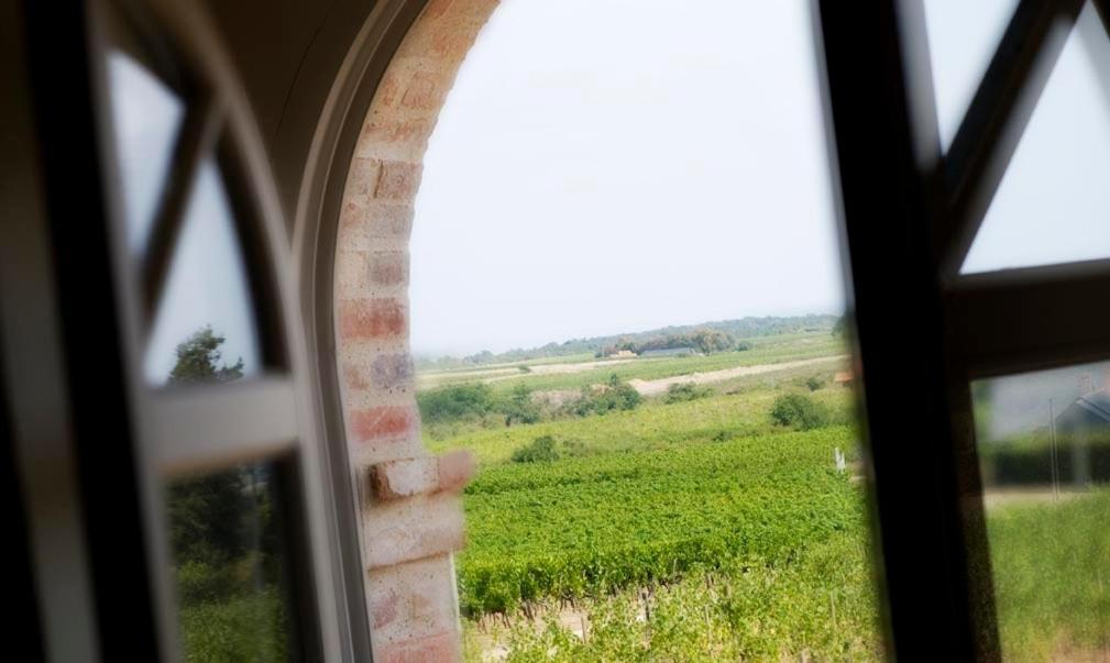 Chambre Double avec Vue sur les Vignobles
