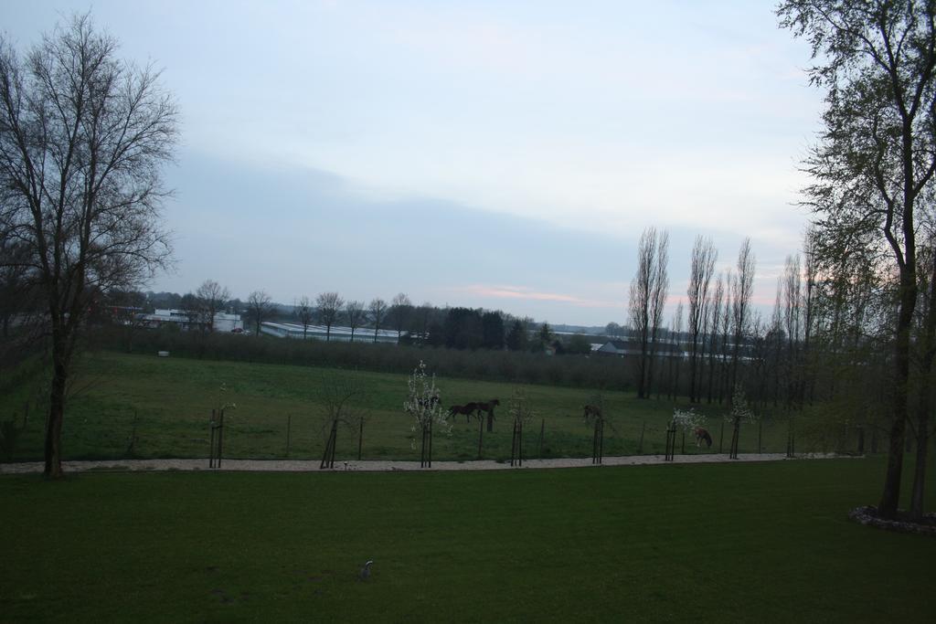 Kamer met Kingsize Bed of 2 Aparte Bedden