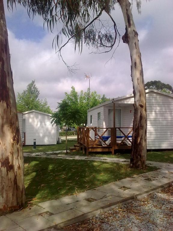 Mobile Home,22093770:JPEG