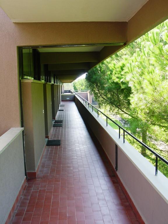 Studio with Terrace