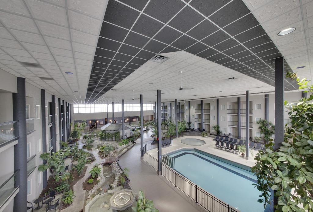 Coast Two Queens with Atrium View