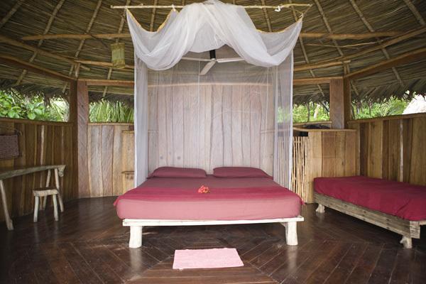 Natural Superior Bungalow