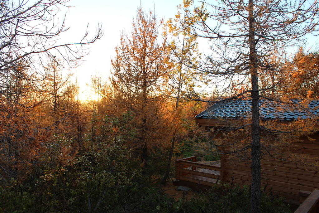 Cottage
