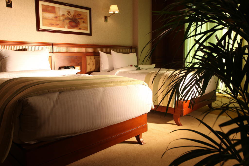 Twin Room 2 Single Beds Egyptians Residents Only,247838517:JPEG