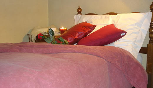 Classic Single Room