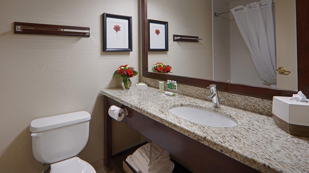 Queen Room - Non-Smoking