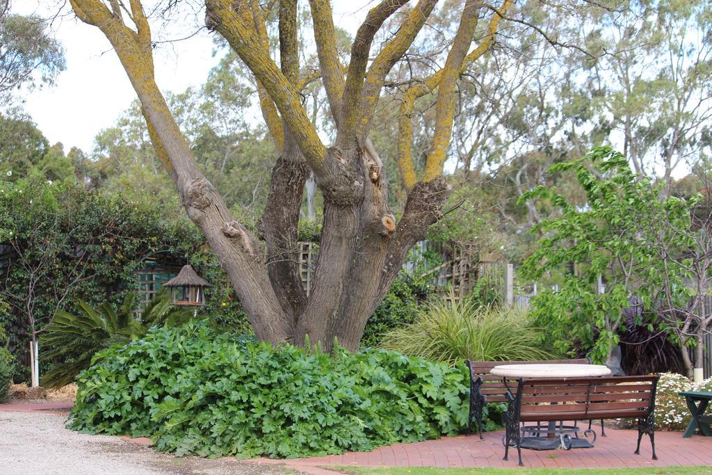 Eucalyptus King Suite