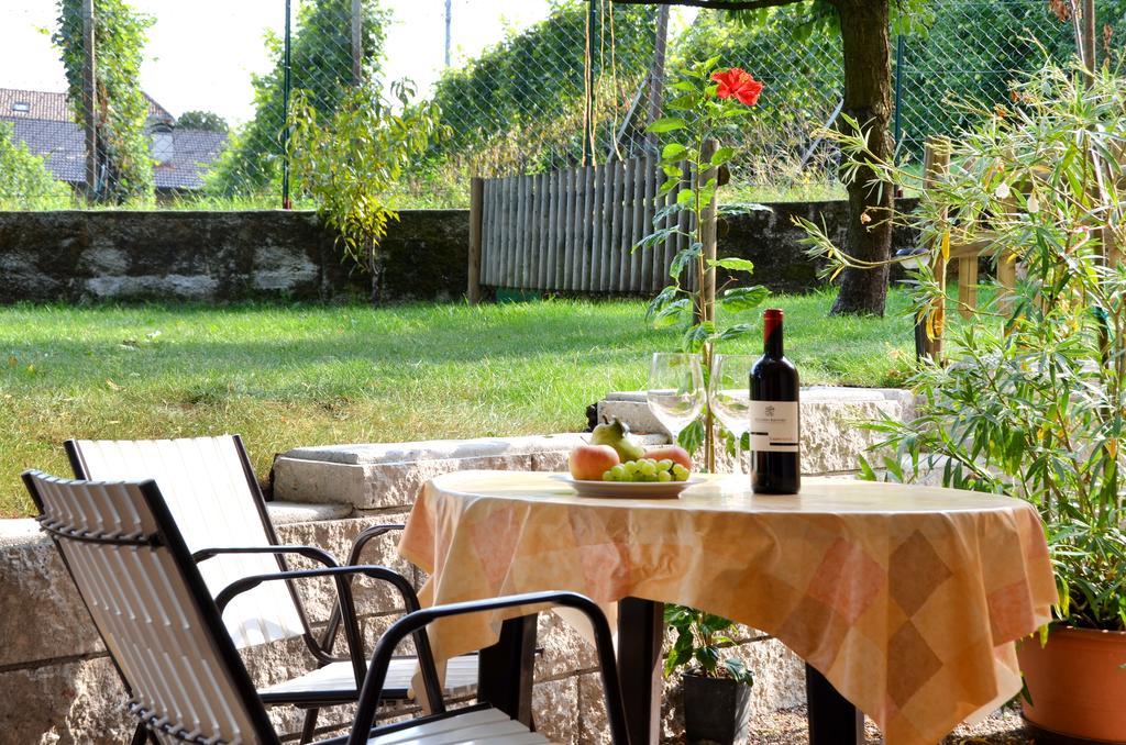 Apartment Garden View