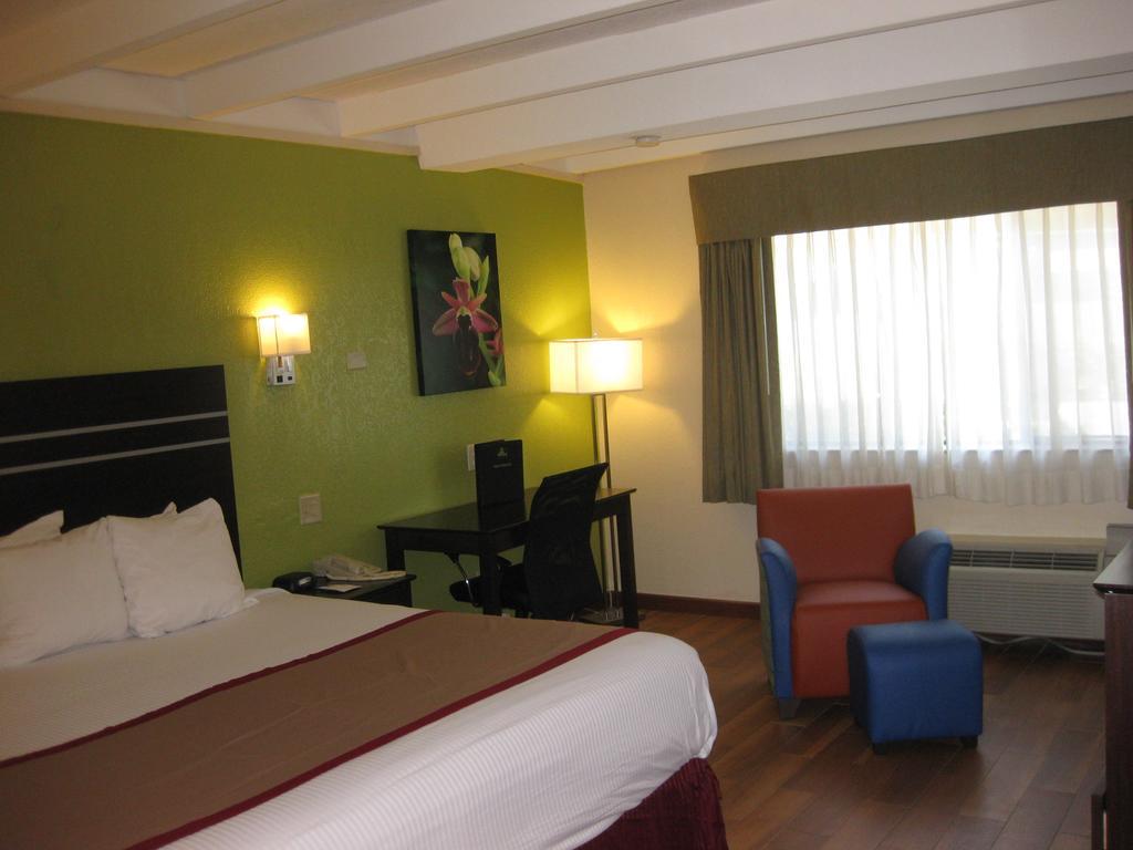 Zimmer mit Kingsize-Bett – Nichtraucher
