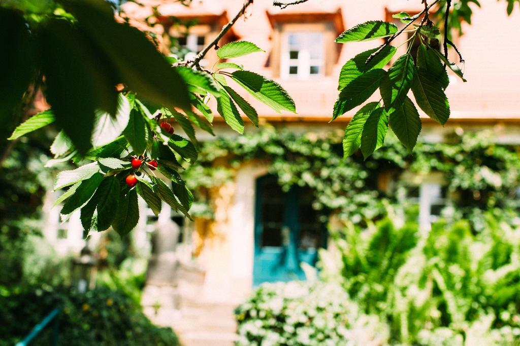 Garten-Suite