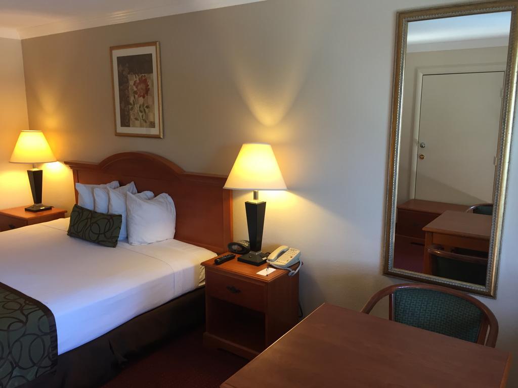 King Room - Non-Smoking