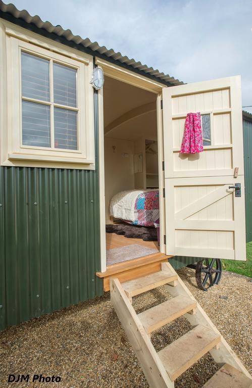 Studio with Garden View