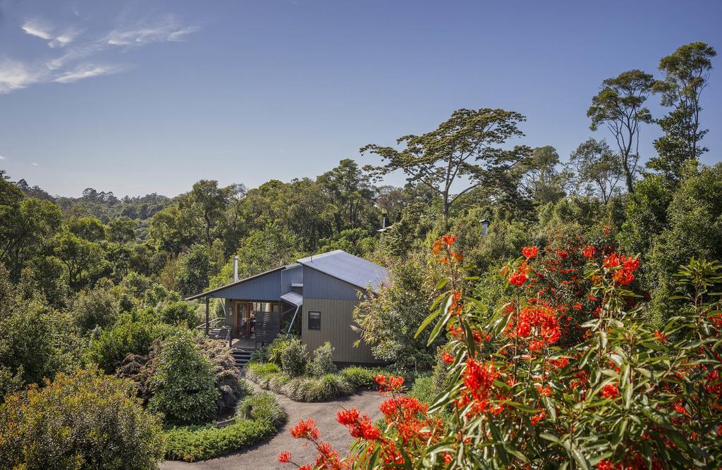 One Bedroom Forest Villa