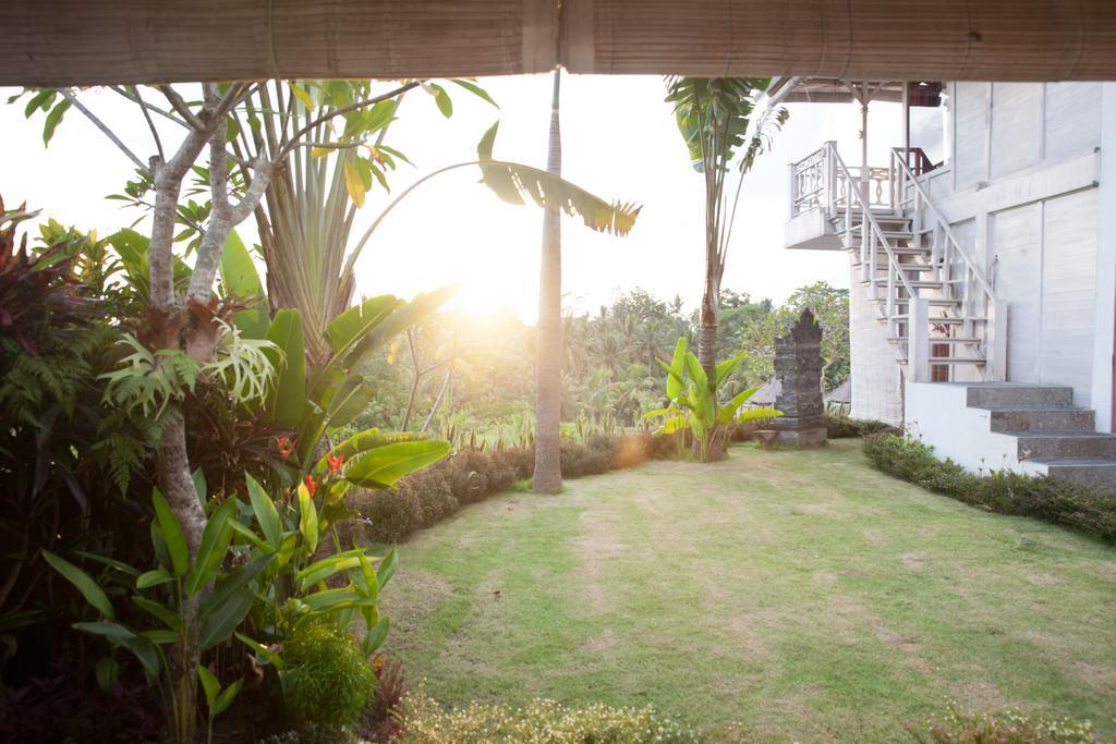 Deluxe Biu Villa with Ricefield View