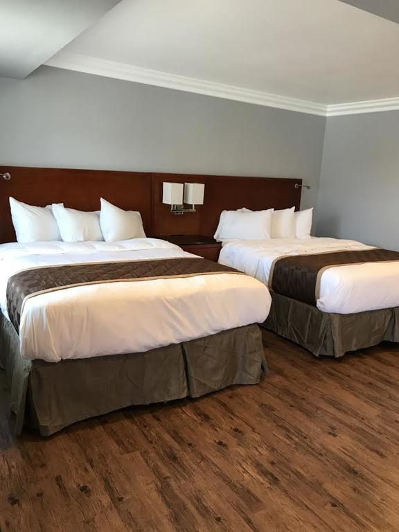 Queen Room Two Queen Beds