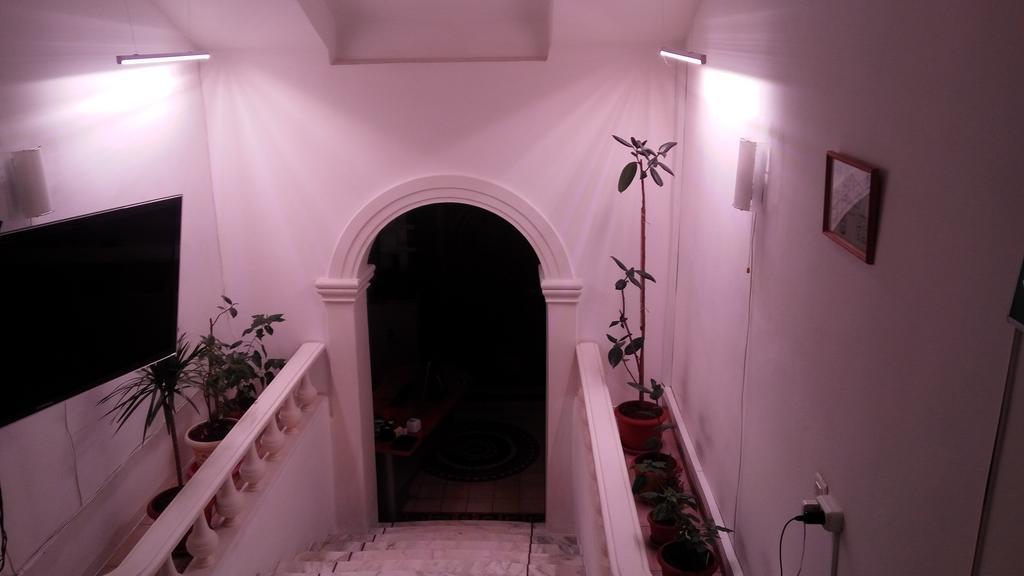 Deluxe Garden View Room