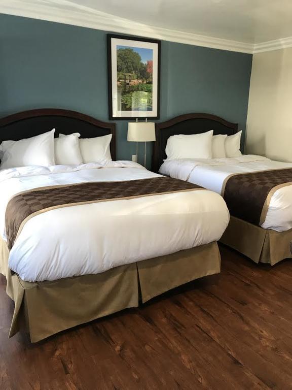 Queen Room Two Queen Beds