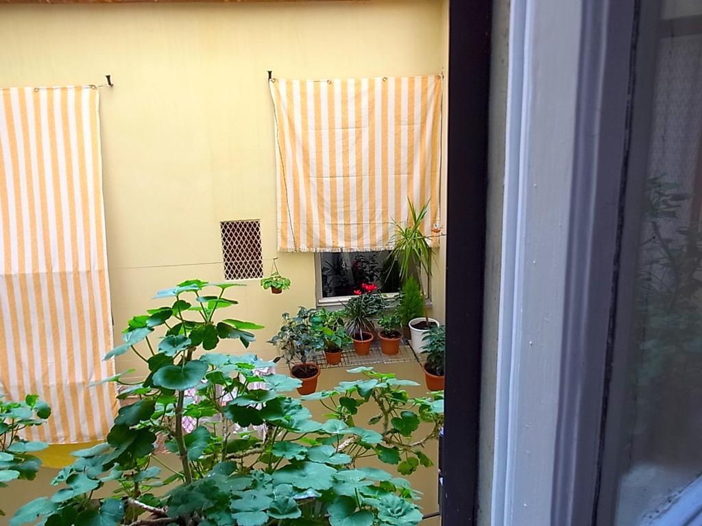 Habitación Doble Estándar con baño compartido