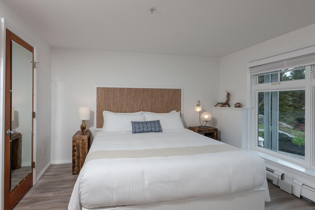 Superior King Suite