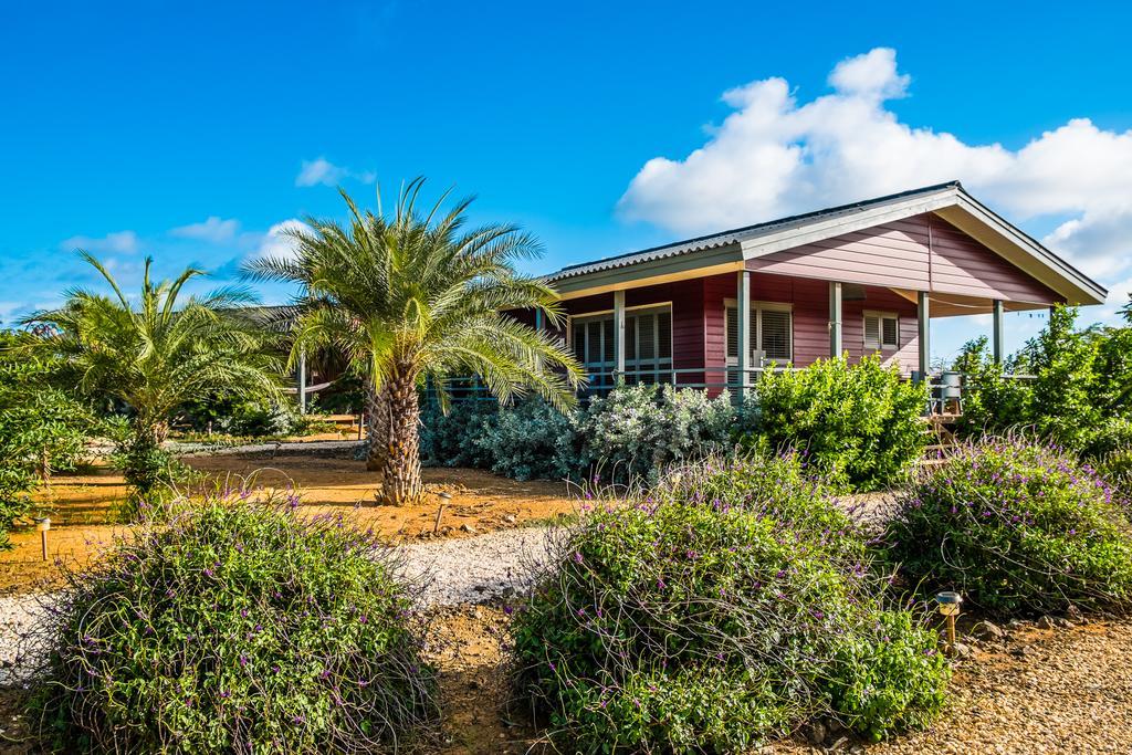 Two-Bedroom Chalet,464496810:JPEG