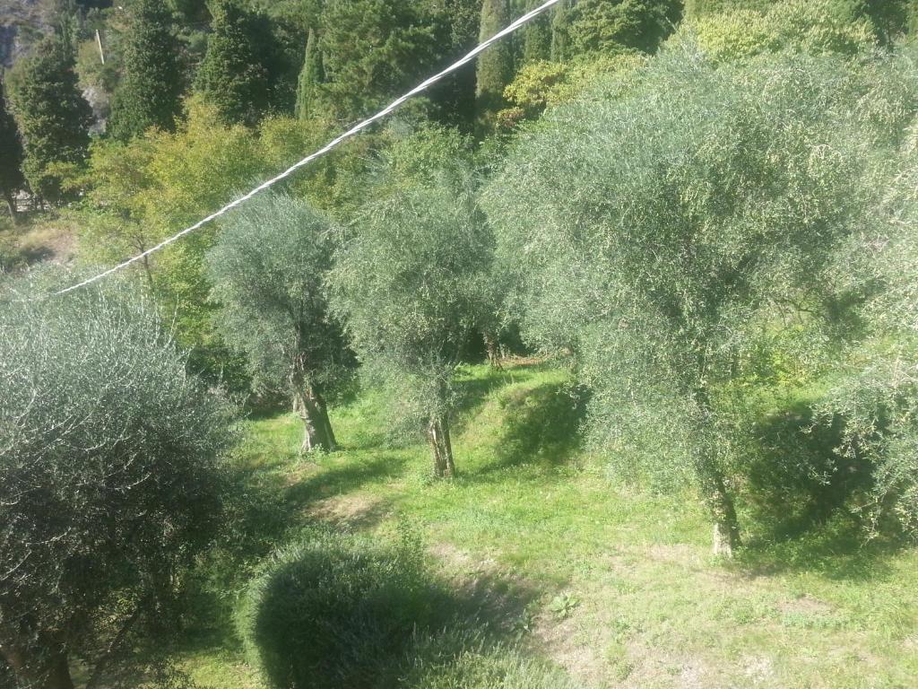 Zweibettzimmer mit Bergblick
