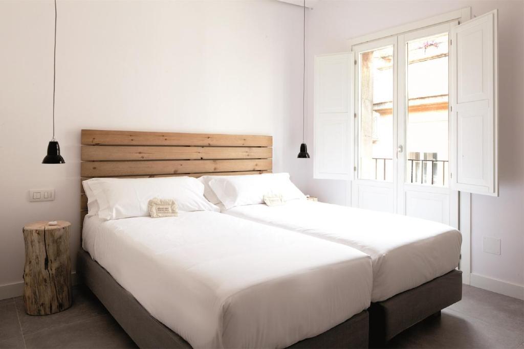 Double or Twin Room,239579945:JPEG