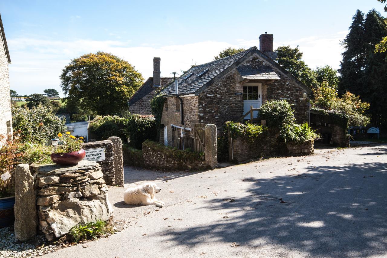 Double Room - Dog Friendly -
