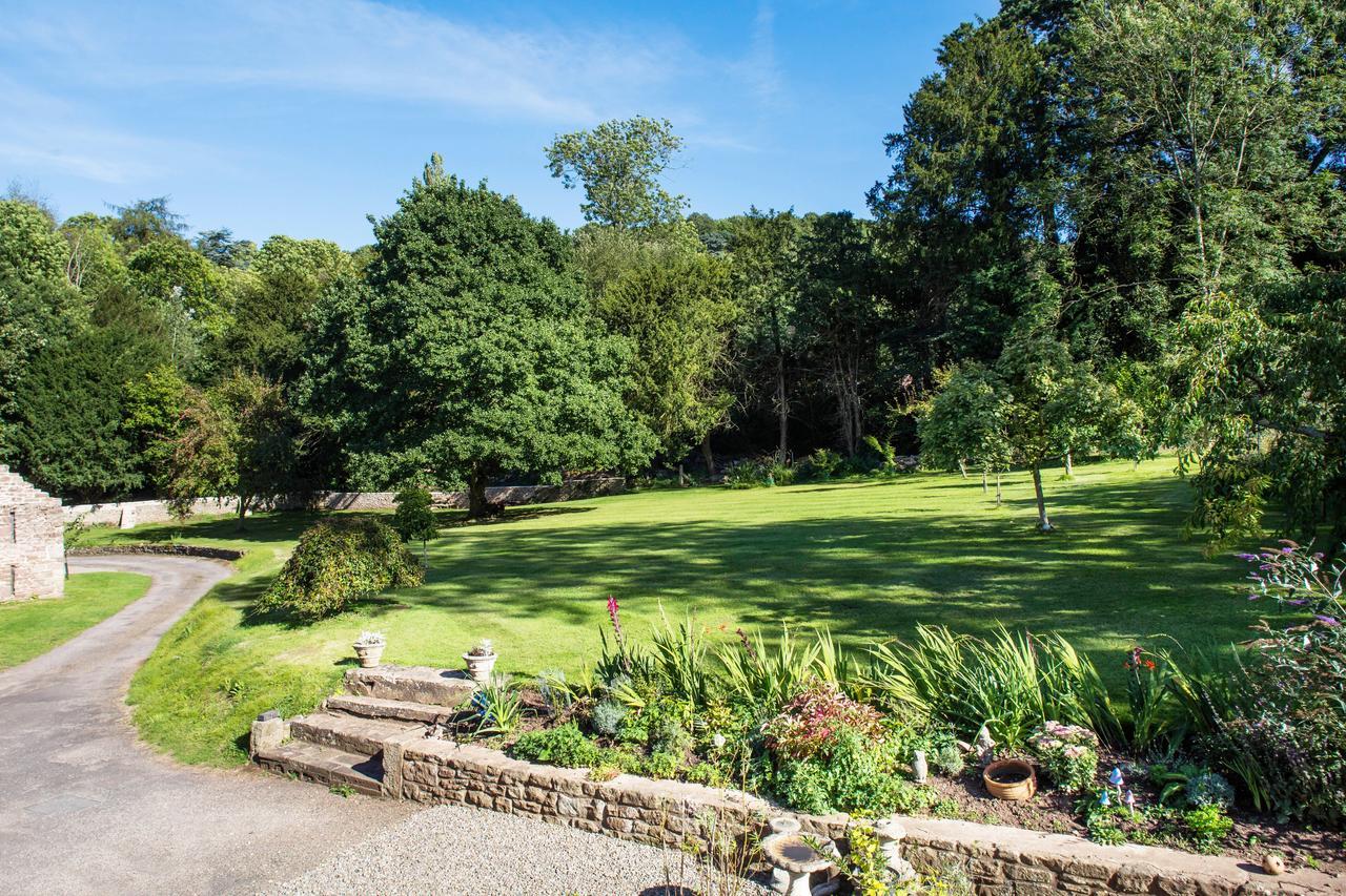 Superior Double or Twin Room with Garden View