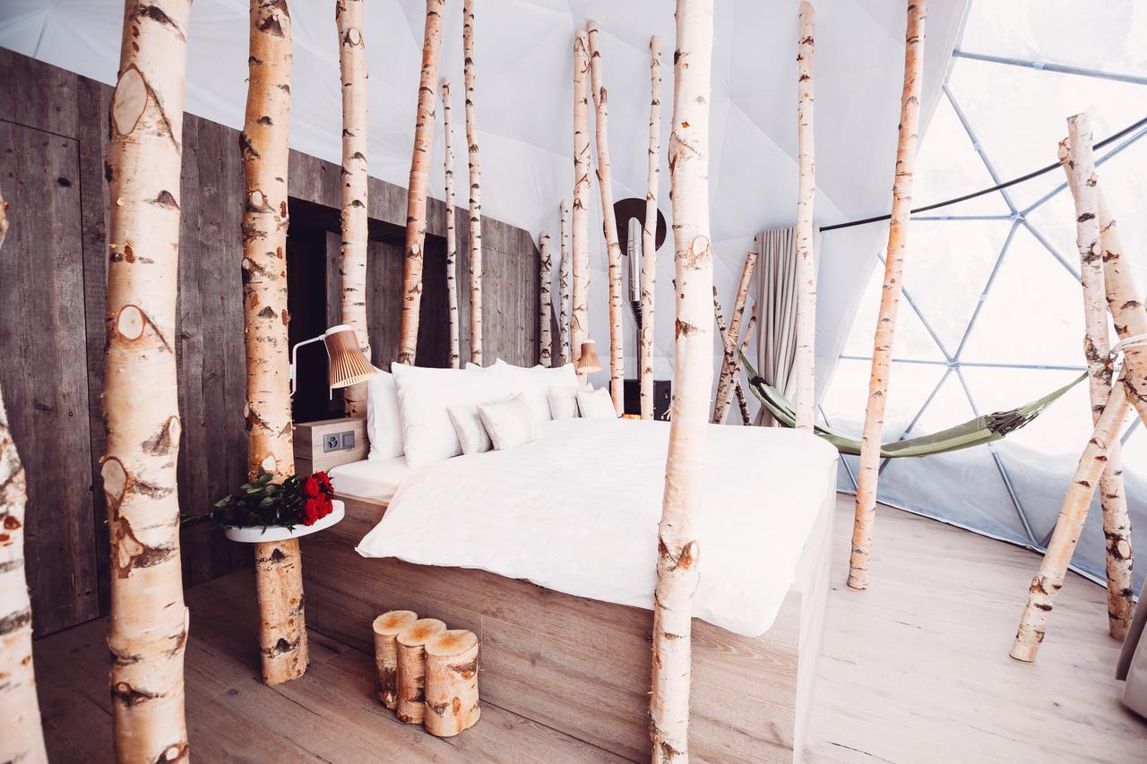 Forest Pod Suite