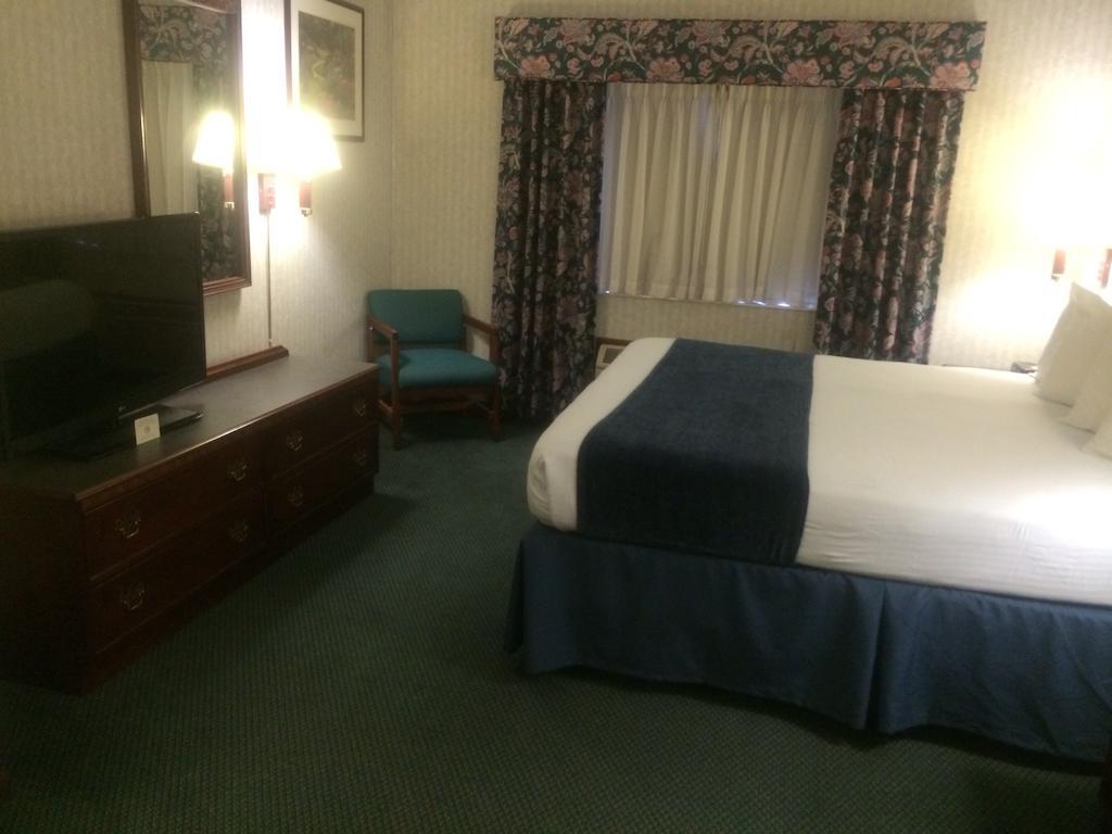 King Suite with Sofa Bed - Non-Smoking