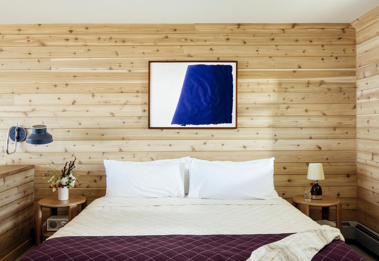 Junior Suite One King + Sofa Bed