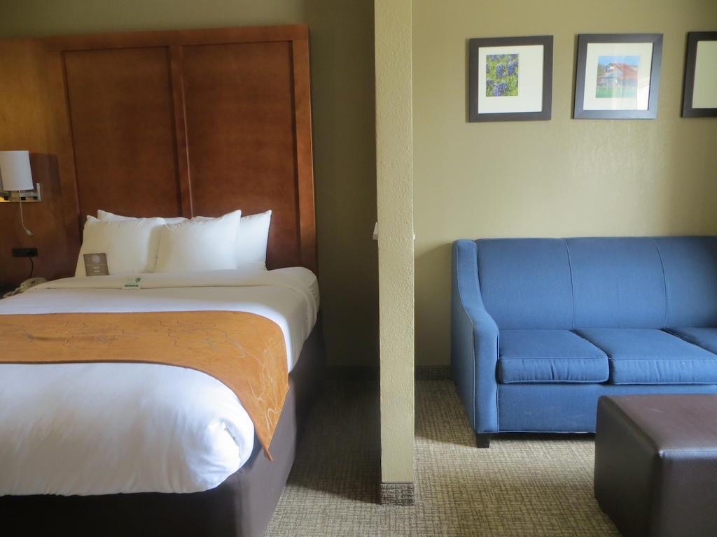 King Suite with Sofa Bed - 1st floor