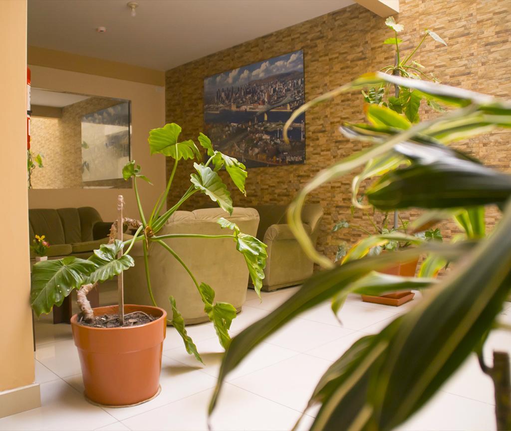 Habitación Estándar - 1 cama grande