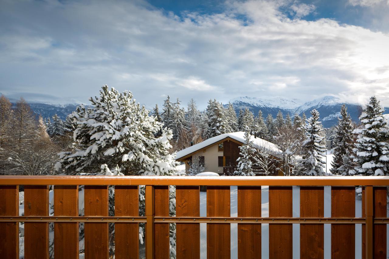 Double Room Mountain View