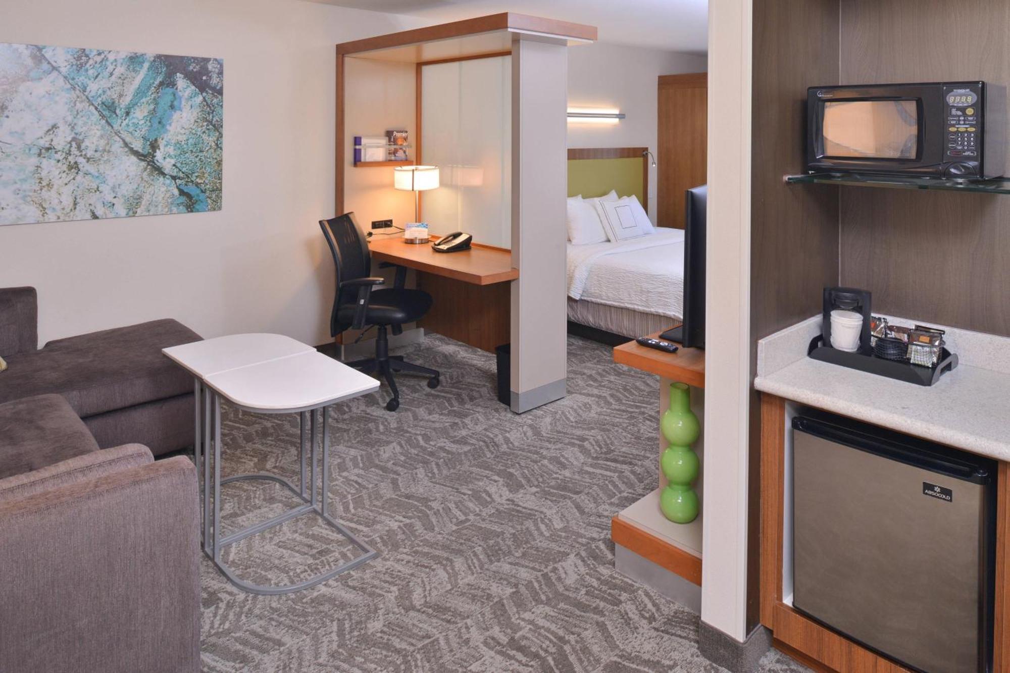 King Suite with Bathtub and Sofa Bed - Mobility Access/Hearing Accessible