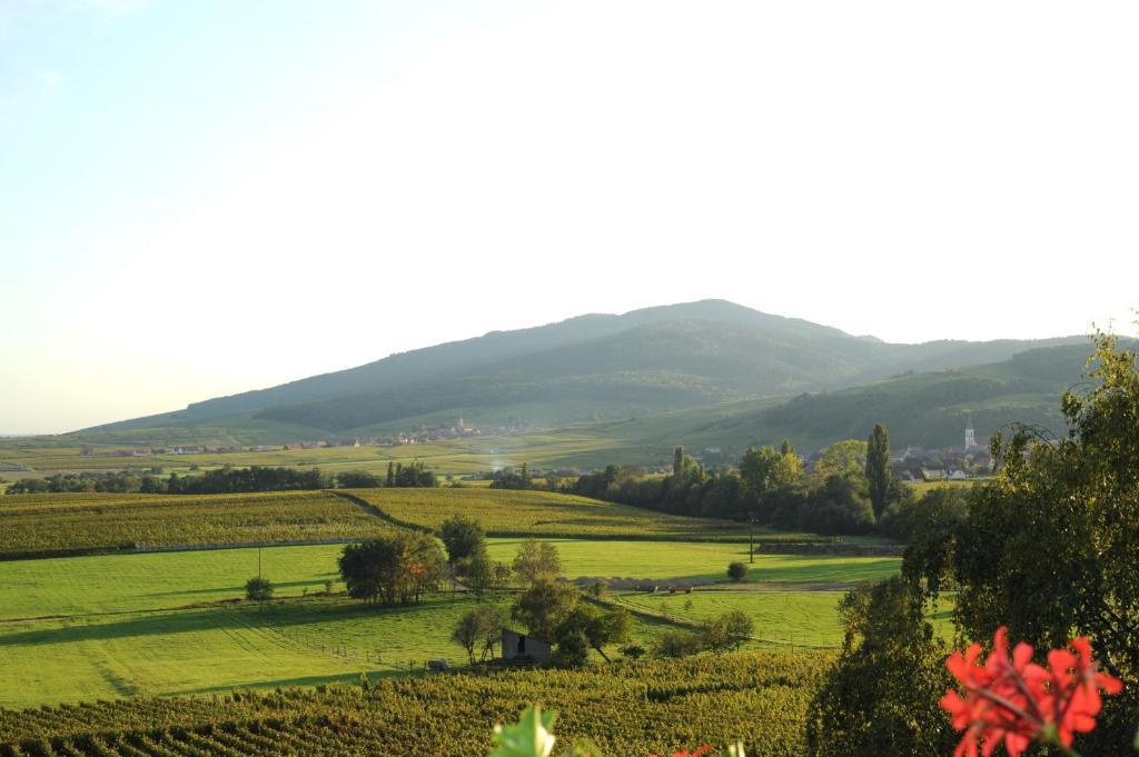 Double or Twin Room with Balcony and vineyard view