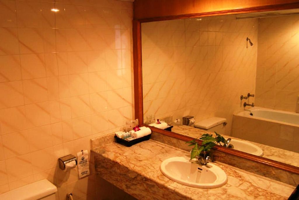 Deluxe Double or Twin Room with Balcony