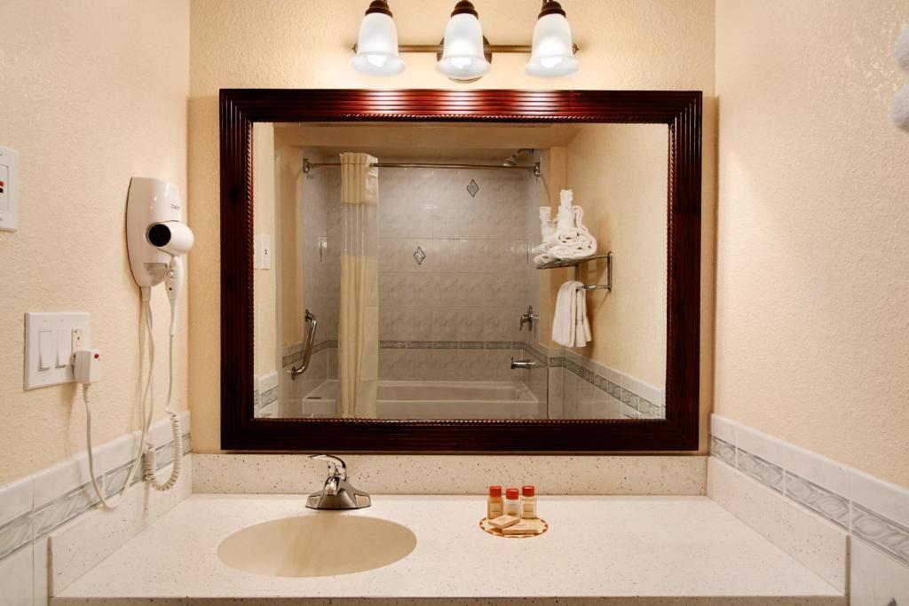 Business Room with Two Double Beds - Non-Smoking
