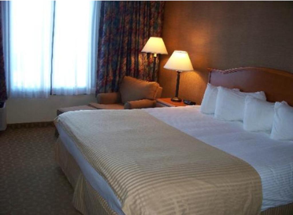 1 King Bed, Non-Smoking