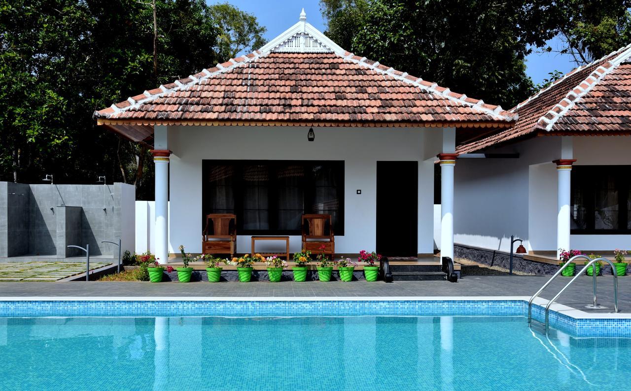 King Room with Pool View