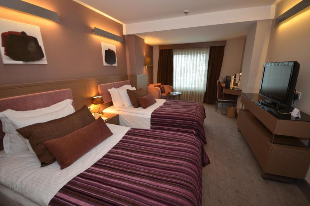 Deluxe Double or Twin Room - Free Access to Spa,680381085:JPEG