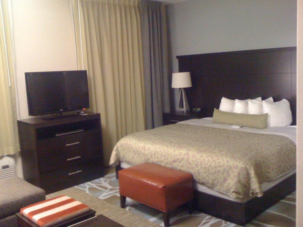 Studio Suite