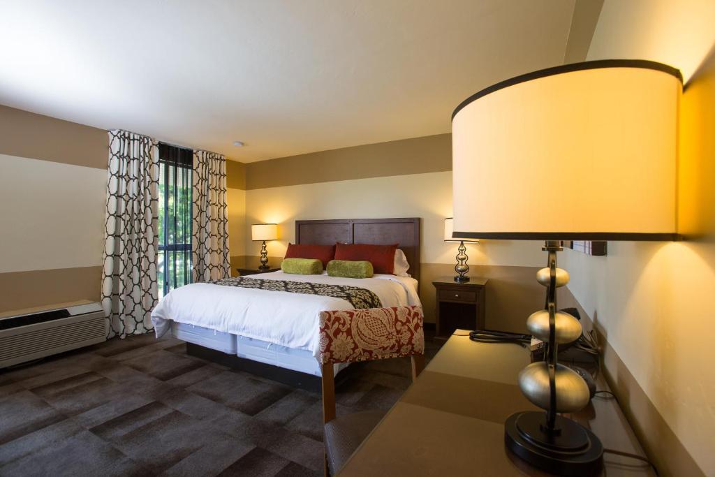 Standard Room, 1 King Bed, Non-Smoking