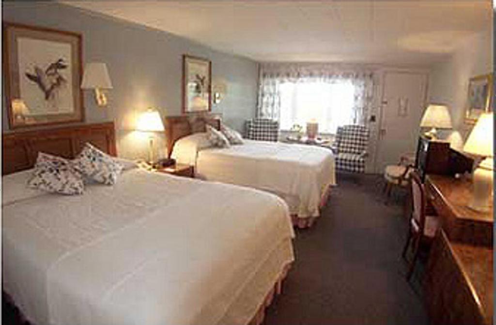 Deluxe Family Suite