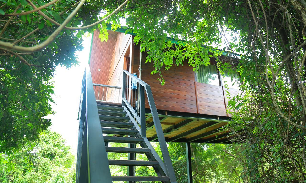 Tree House,1012157143:JPEG