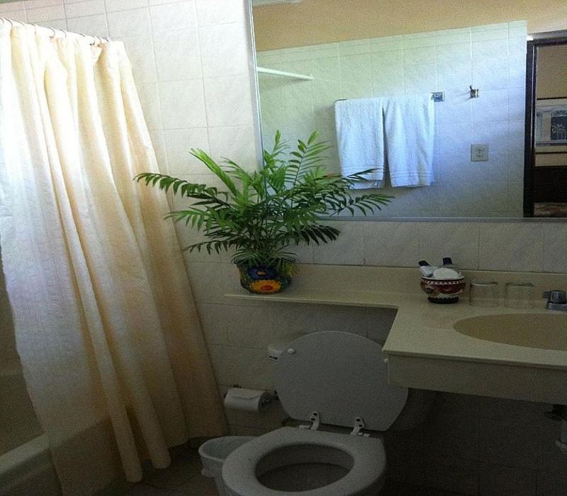 Single Room,426614994:JPEG